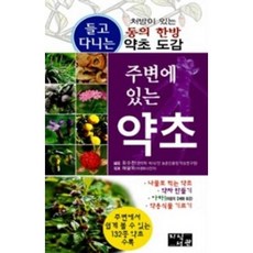 [중고] 주변에 있는 약초 | 최수찬 | 지식서관 | 2014년