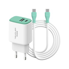 템플러 35W 2포트 C타입 PD 초고속충전기 + 45W CtoC 케이블 1m 세트, 1세트, 민트