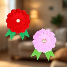 카네이션 부직포 DIY키트 스승의날선물 부모님선물