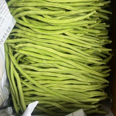 [금성식품]중국야채 중국식품 중국줄당콩 쨔뚜왕 볶아먹는채당콩 쨔떠왕, 500g, 1개