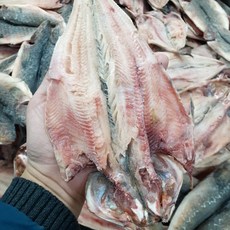 국내산 임연수 반건조 손질 구이용, 1박스, 중 20미 (1.6kg내외)