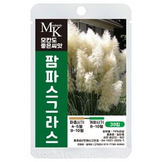 모칸도 좋은씨앗 팜파스그라스 씨앗 30립 국산 갈대 꽃씨 꽃씨앗, 1개