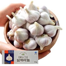 남해군 농협 햇 마늘 국산 남도마늘 통마늘 제철 채소 저장용 김장 요리 장아찌, 1박스, 500 g