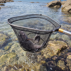 [초강력 내구성+발암물질 ZERO]큐로젯 뜰채 해루질 낚시 물고기