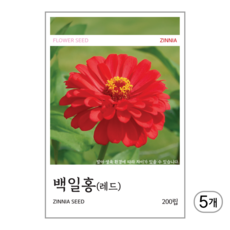 새싹바라기 백일홍(레드) 씨앗 200립, 5개