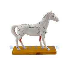 동물 해부 모델 학습용 개 골격 침술 경혈, D. 말 침술 모델, 1개