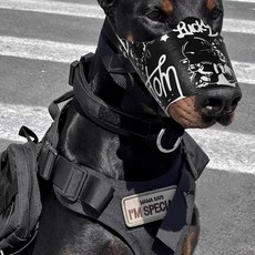 卡通可愛狗狗嘴套 防咬防亂喫 拉布拉多金毛杜賓適用 止吠器 360透氣舒適寵物嘴套 狗口罩 防誤食, 1個, 暴富,XS（建議3-10斤）