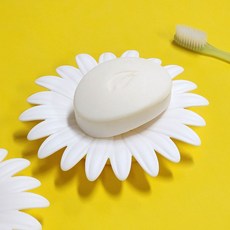 라포룸 데이지 비누 받침 비눗갑, 없음, 1개, 상세페이지 참조