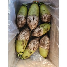 제주월동흙무, 1개, 10kg내외