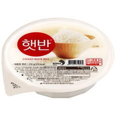 햇반 백미밥, 210g, 22개