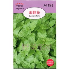SkyStar 天星牌 蜜蜂花(香蜂草) Lemon Balm 種子, 1包