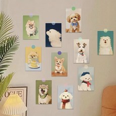 감성 인테리어 엽서세트 벽장식 벽꾸미기 엽서+스티커, 강아지