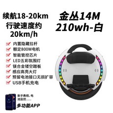 킹송 14인치 외발 전동휠 고출력 원휠 퀵보드 대리기사 왕발통, 1개, 상세페이지 참고, 60V 210wh 흰색(20km)