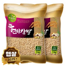 현대농산 국산 현미찹쌀 찰현미, 5kg, 2개