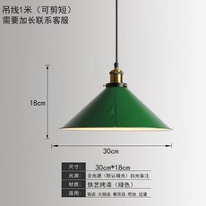 레트로 팬던트등 녹색 램프 초록 초록색 조명 새장 심기 수입조명 디자인 식물등 주방, 18종 30cm 그린