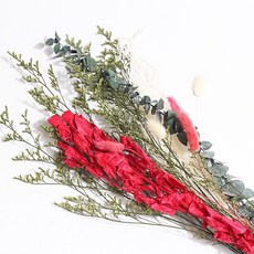 화연양화 크리스마스 장식 소품 프리저브드 드라이플라워 꽃조합, 01 미스티 그린 조합