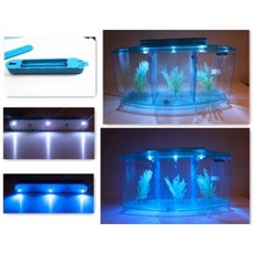 LED排水鬥魚缸 鬥魚缸 鬥魚盒 可排水 小型魚缸 單格 雙格 鬥魚 辦公室小物 隔離盒 隔離缸, 1個, LED三格氣動底版鬥魚缸（藍色）
