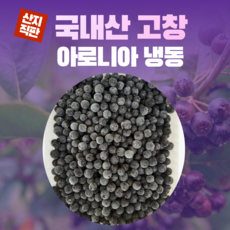 전북 고창 특품 줄기 꼭지제거 냉동 아로니아 생과 국내산 프리미엄 슈퍼푸드 요거트 건강토핑, 1개