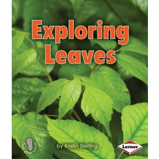 (영문도서) Exploring Leaves Paperback, Lerner Classroom, English, 9780761378334
