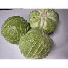 국내산 양배추 아삭한 제철채소, 3개, 2.5kg