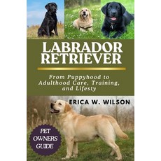 (영문도서)Labrador Retriever: Labrador Retriever: From Puppyhood to Adulthood Care Traini... Paperback, Independently Published, English, 9798287449308