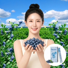 브뤼 블루베리 퓨레 100% 무첨가 20g*14p 통째로 껍질부터 씨앗까지, 1개, 280g