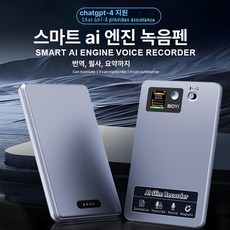 AI 음성 녹음기 보이스레코더 충전기 플라우드 및, other, 64GB