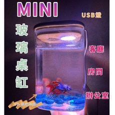 一心 水族 桌面型迷你魚缸, 1個, Mini 玻璃桌缸（usb燈）較亮