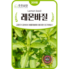 [주주씨앗] 레몬바질씨앗 200립 허브씨앗 허브씨 종자 봄 여름 가을 파종 작물 꽃씨, 1개