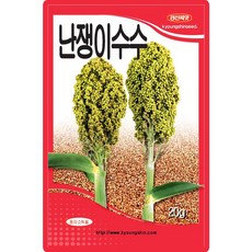 난쟁이수수 씨앗 20g 키가 작은 수수씨 곡물 종자, 2개