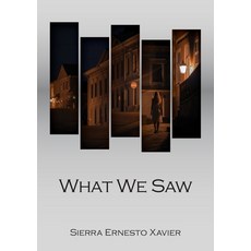 (영문도서) What We Saw Paperback, Sierra Ernesto Xavier, English, 9781917425087