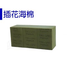 醬米資材 翠筠 插花海棉 鮮花組盆材料 乾燥花 方形插花海棉, 綠色