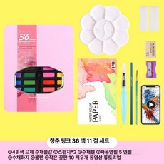 화상카메라 방송용 웹캠 4K 회의 카메라 화상회의 화상, 36색 유스핑크 11종, [전자 강의 포함]