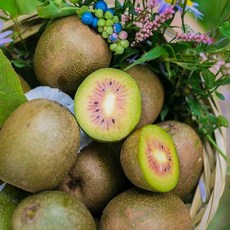 돌담프룻 제주산 레드키위 고당도 참다래 키위 다래, 레드키위 꼬마과 3kg, 1박스