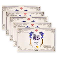 동화약품 부채표 배 도라지 쌍화, 50개, 120ml