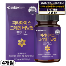 파라다이스 그레인 버닝 정품 100% 식약청인증 6파라돌 그래인, 1박스, 120회분