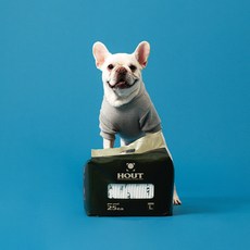 하웃 강아지 애견 배변패드 두꺼운 반려견 대형 70g 75매, 25개입, 3개