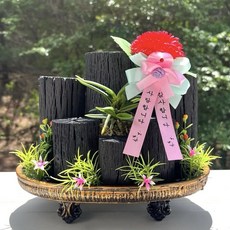 카네이션 숯화분 고급타원 어버이날 스승의날 선물, 1개