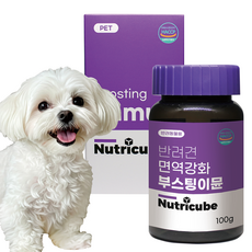 뉴트리큐브 반려동물 강아지영양제 관절 피부피모 눈물개선 눈건강 면역력강화 유산균 장건강 노령견 항산화 애견, 1개, 면역/항산화, 100정