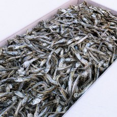 신건호멸치 안주/조림용 햇 고바멸치(실속형) / 소멸치 볶음멸치, 1개, 1.5kg