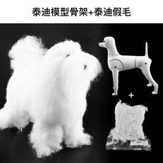 푸들 비숑견체 얼굴 털 애견미용위그 자격증 전신 연습용 강아지, 1개, L. 테디 프레임 테디 가발