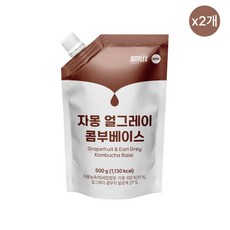 [것플렉스] 자몽 얼그레이 콤부 베이스 500ml x 2개 / 콤부차 카페메뉴 바리스타 업소용 대용량