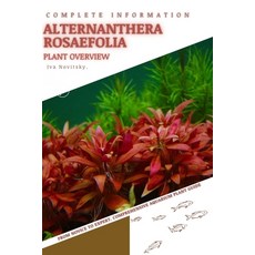 (영문도서) Alternanthera Rosaefolia: From Novice to Expert. Comprehensive Aquarium Plants Guide Paperback, Independently Published, English, 9798854251273
