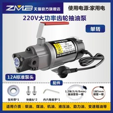 교환 흡입기 자동차 헤드-본체 미션 12V 폐유 석션기 표준 180W 잔유 엔진오일, I. 220V 고출력 180W 표준 펌프