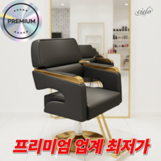 시엘로 미용실 의자 살롱 메이크업 회전 높이조절 스텐 받침대 체어, 1개, 05.블랙 골드프레임