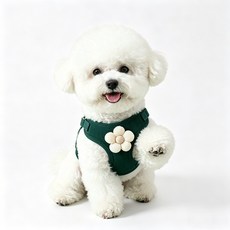 Crescentia 데이지 강아지 하네스 귀여운 소형견 하네스 리드줄 세트, 1세트, 짙은 녹색 1세트, 짙은 녹색
