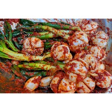 전라도김치 (맛인정) 양파줄기김치 (전라도 일로 황토밭 재배/제철 줄기양파)당일제조 당일발송, 1개, 2kg