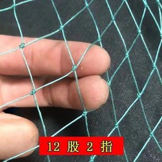 超值 加密小網孔養殖網1指2指3指網片網箱拉網養雞網魚塘隔斷網 副廠商品, 1個, 2指網孔12股,A款1米寬20米長