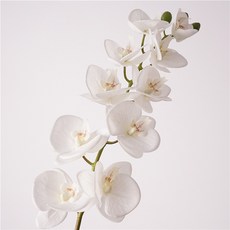 宴會家居必備 洛桑蝴蝶蘭仿真花 酒店婚禮餐桌插花材 高還原度 輕鬆營造優雅氛圍, 1個, 手感10頭洛桑蝴蝶蘭-白色