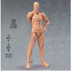인체관절 피규어 바디 아트 근육 모형 해부학 교육용 디오라마 재료 실습용 완구, 1개, 2.0 피부색 남성